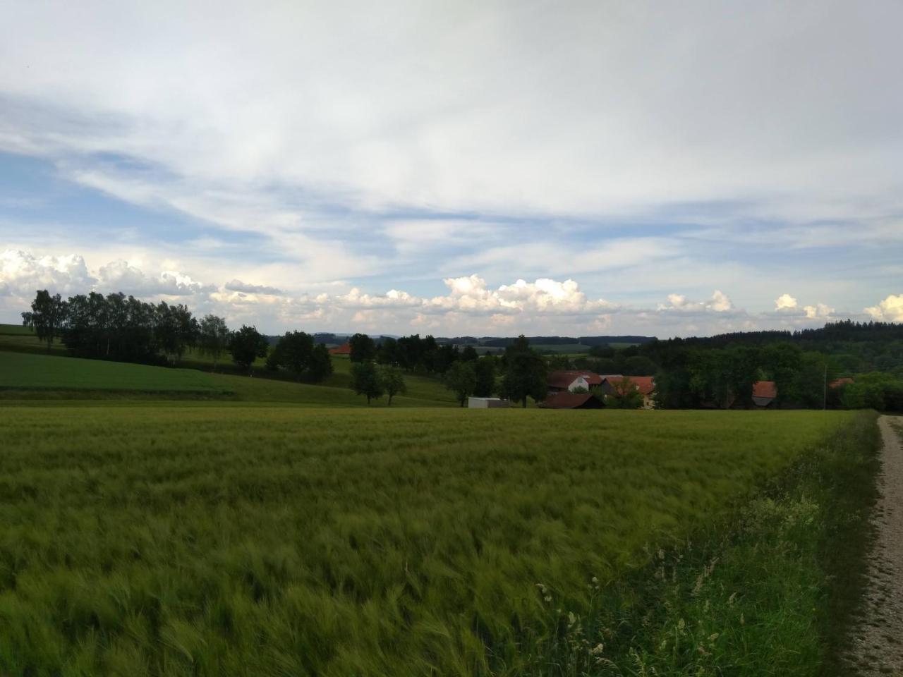 Gasthaus Schachinger Tumeltsham 外观 照片
